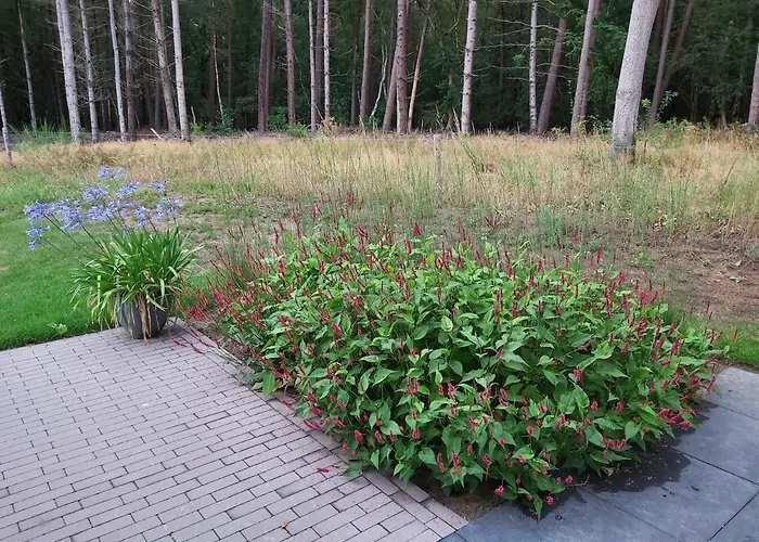 Veul Oe Thuus Hoeve Kroep An Pensionat