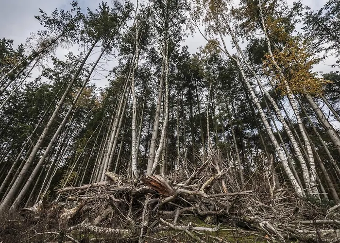 Veul Oe Thuus Hoeve Kroep An Vorden