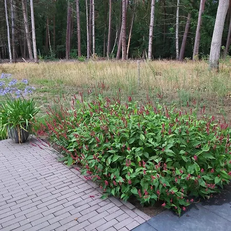 Veul Oe Thuus Hoeve Kroep An Casa de hóspedes